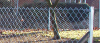 Chain Link Fence